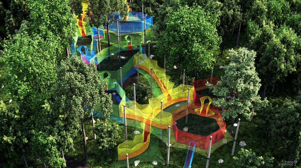 A canopy playground amidst the trees.