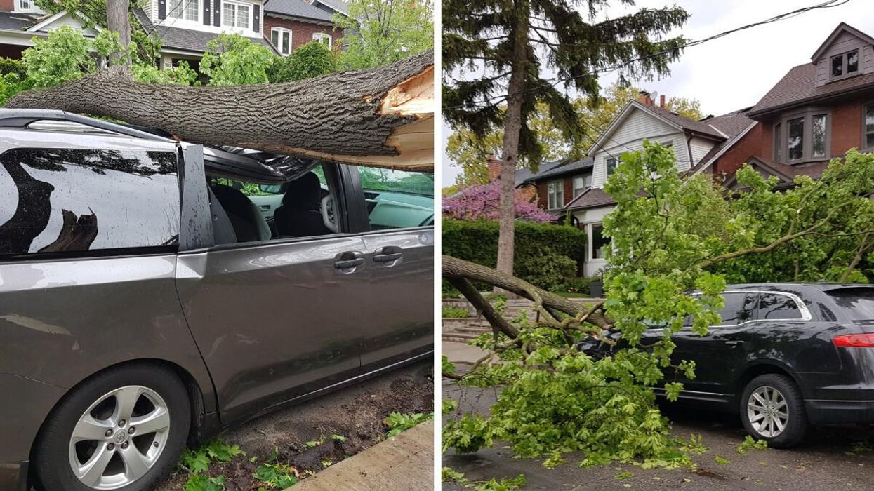 A car crushed by a tree. Right: Trees blown into the street.