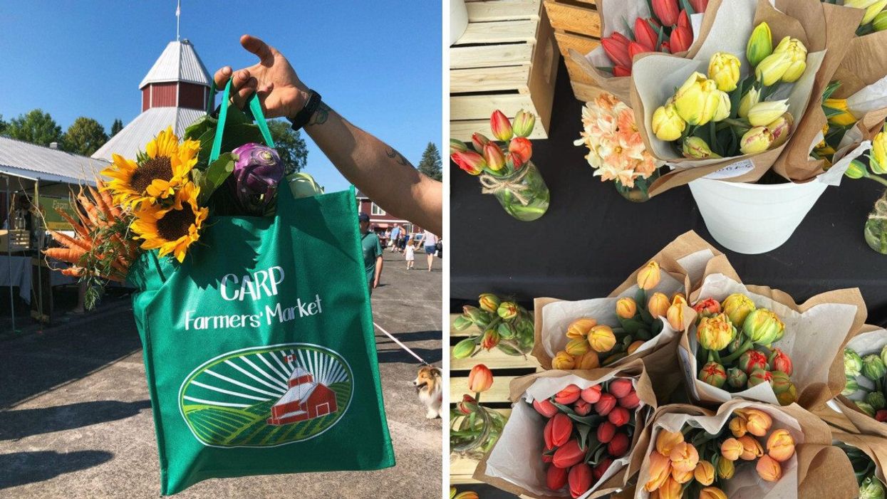 A "Carp Farmers' Market" reusable bag filled with flowers and fresh produce. Right: Bouquets of tulips.