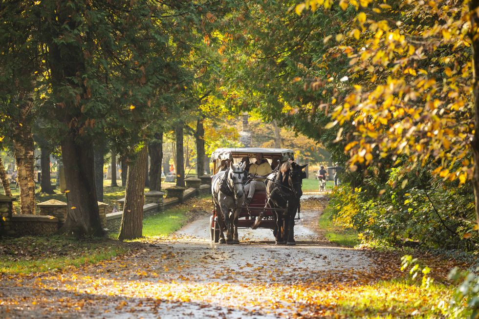 A carriage ride.