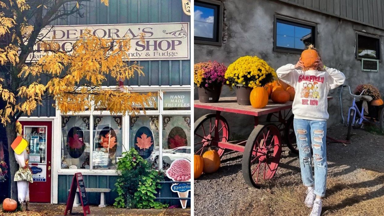 A chocolate store during the fall. Right: A person holding a pumpkin.