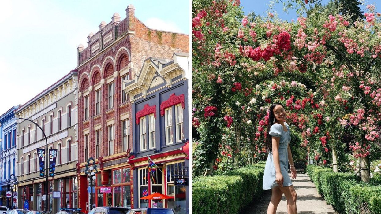 A city street. Right: Someone in a garden.