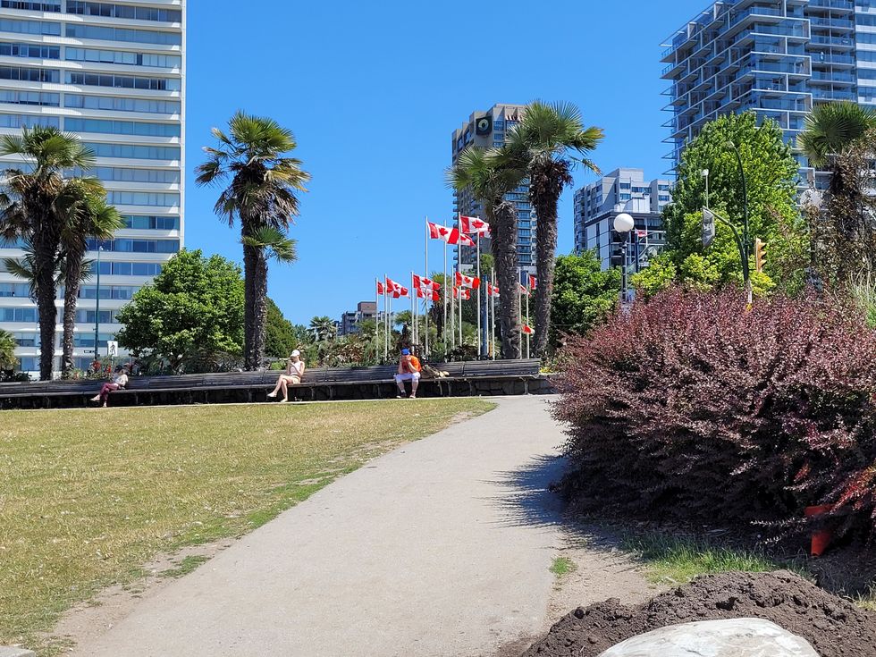 A city view with palm trees and Canadian flags.