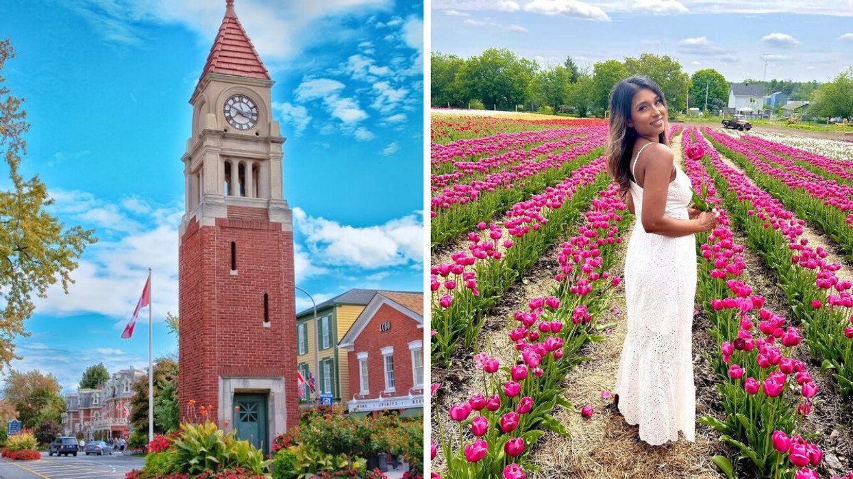 A clock tower with greenery. Right: A person in a tulip field.