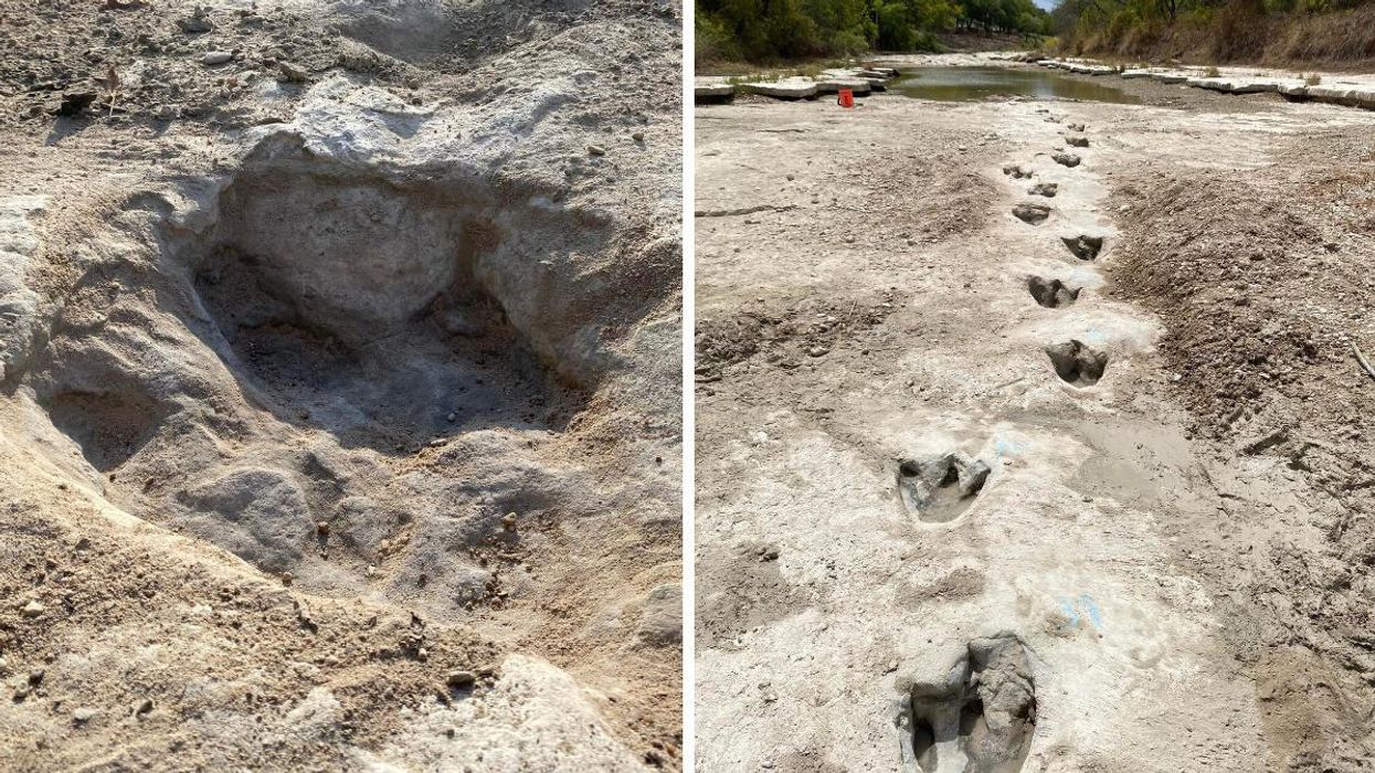 A close up of the uncovered footprint seen at Dinosaur Valley State Park. Right: A path of dinosaur footprints seen at Dinosaur Valley State Park.