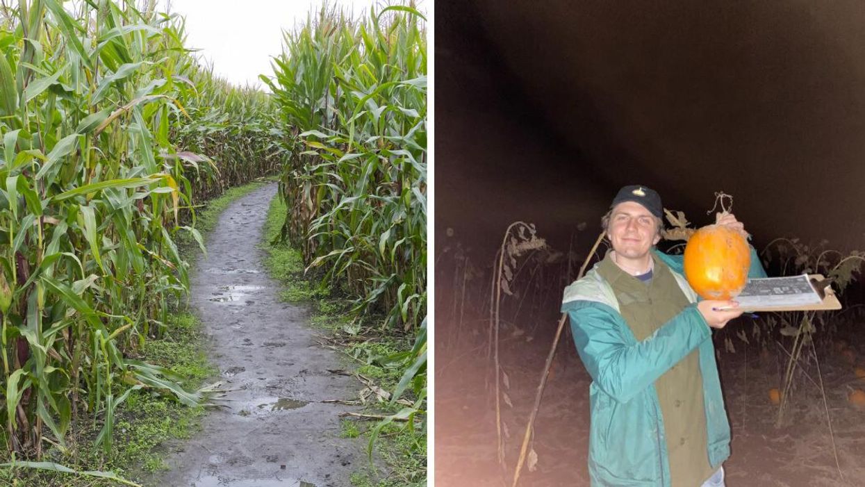 A corn maze. Right: Tristan Wheeler at a pumpkin patch and corn maze.