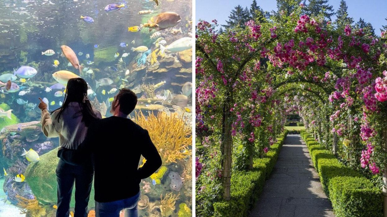 A couple at an aquarium in Toronto. Right: Butchart Gardens in B.C.