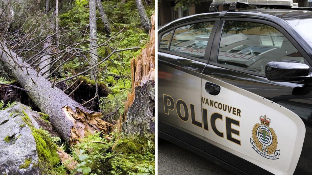 A Couple From BC Were Killed After A Tree Fell On Their House During A Wind Storm