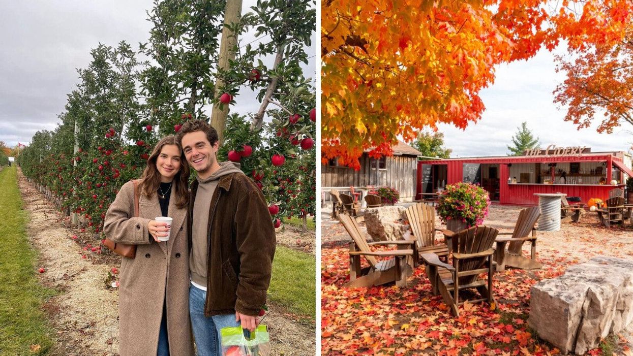 A couple in an apple orchard. Right: A cidery with a patio during the fall.