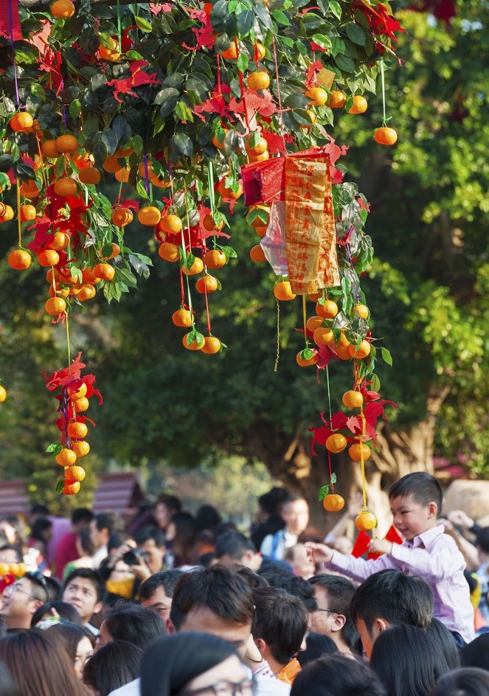 A crowd of people standing below a wishing tree heavy with tangerines and wishes.