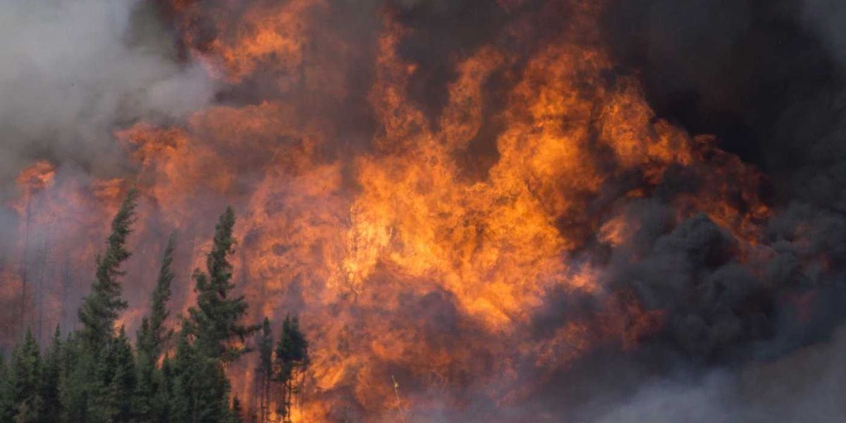 A decade after the Fort McMurray wildfire A decade after the Fort McMurray wildfire