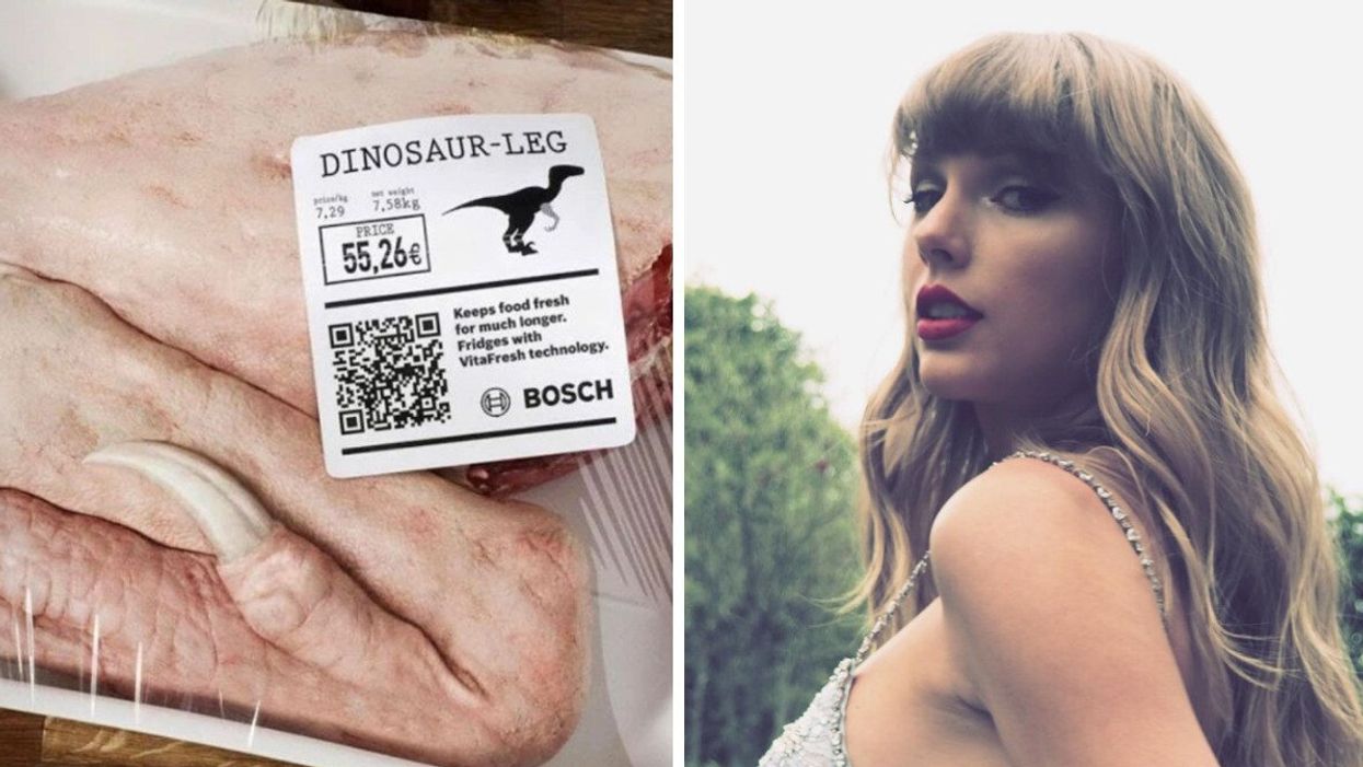 A Dinosaur leg. Right: Taylor Swift.