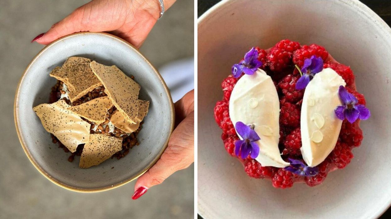 A dish from Pompette. Right: A dish from Actinolite.