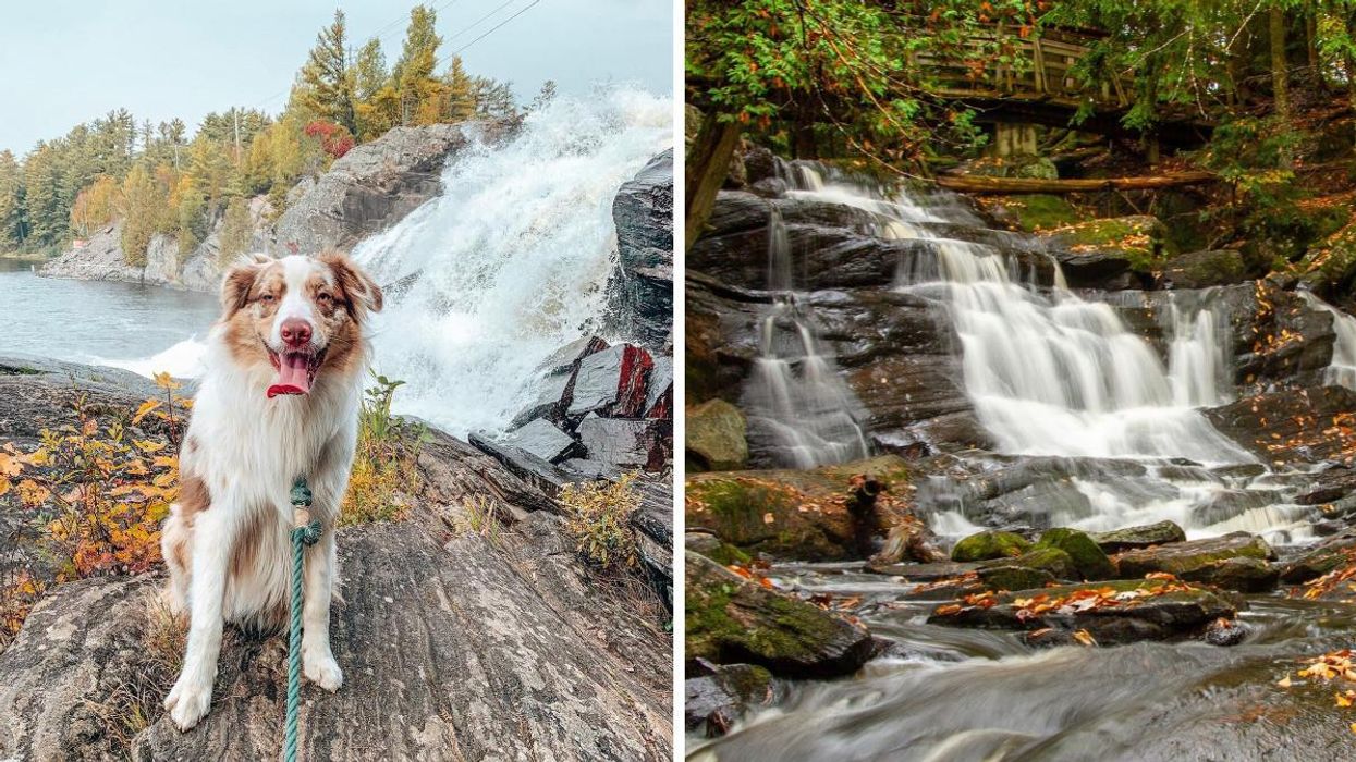 A dog on a leash sitting by a waterfall. Right: A bridge over a waterfall in autumn.