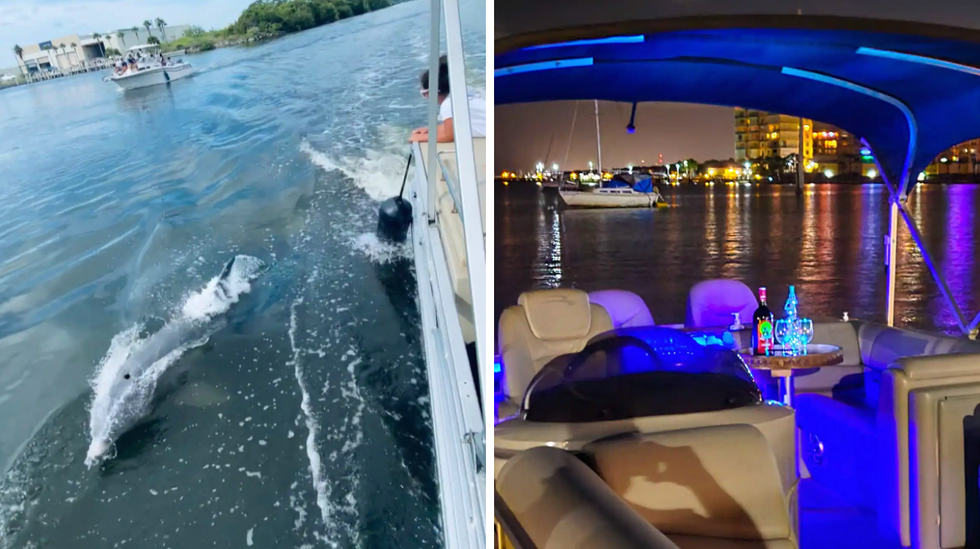 A dolphin in the water. Right: The dolphin boat at night.