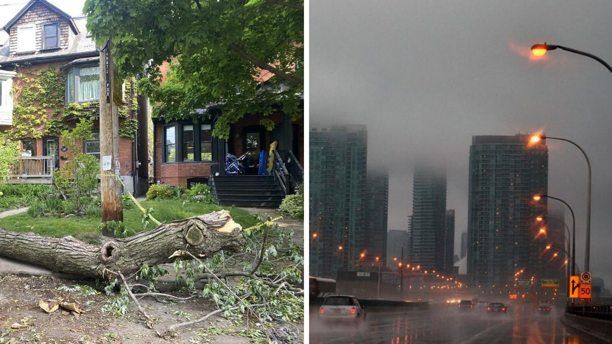 A downed tree. Right: Toronto in the rain.