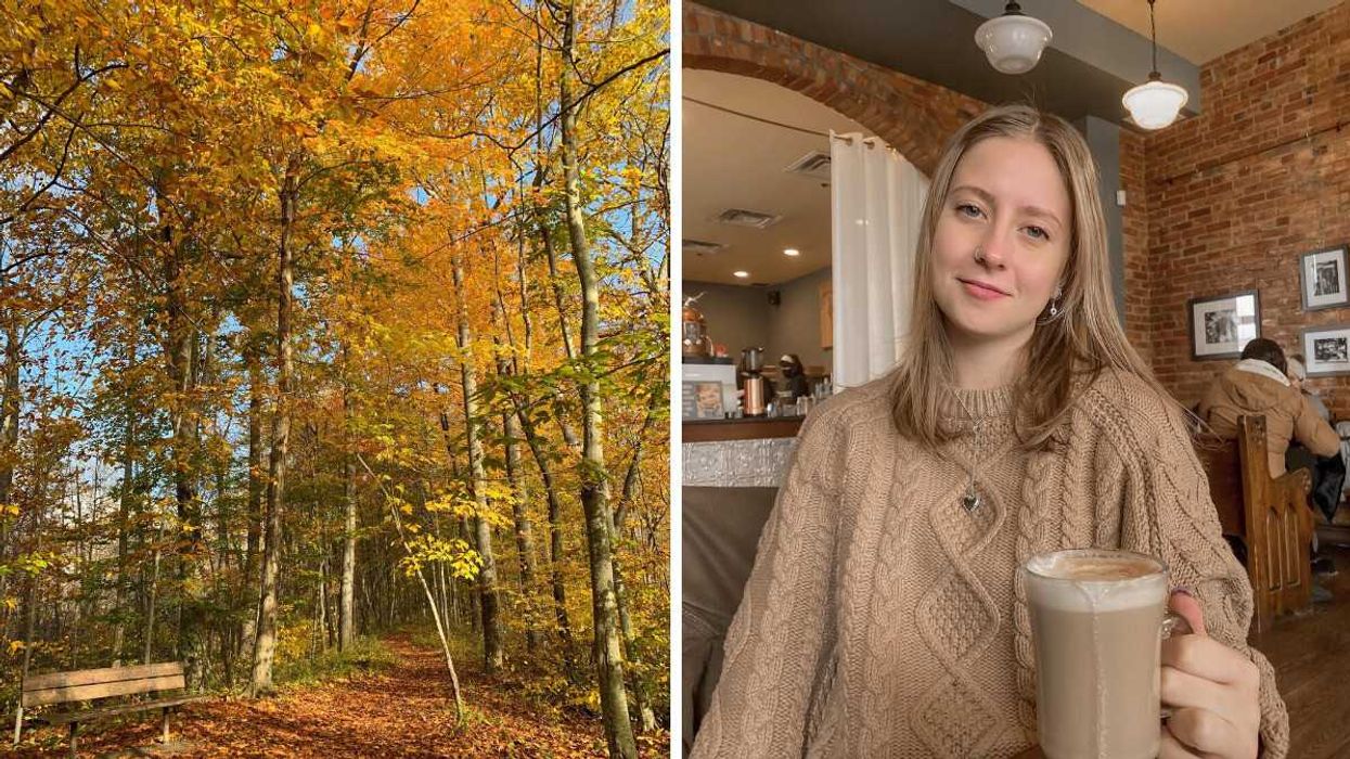 A fall forest. Right: A person sitting in a cafe.