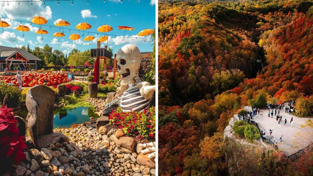 A fall market with autumn decor. Right: A fall colour lookout.