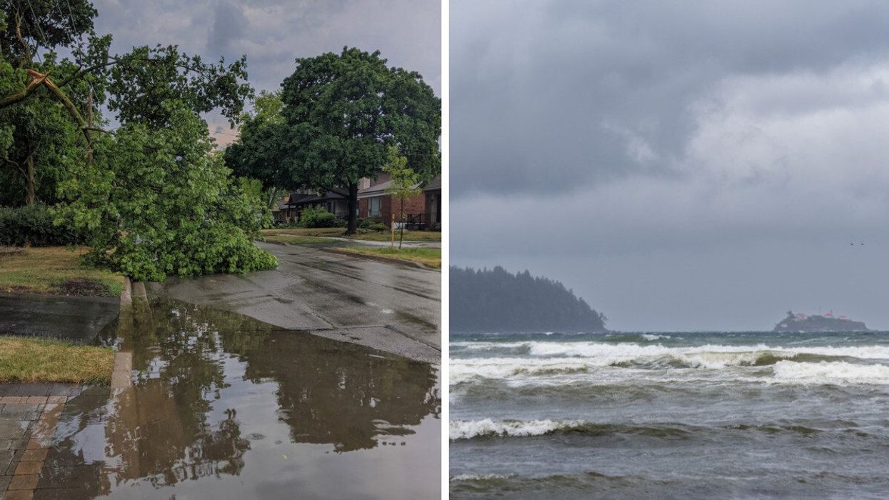 A fallen tree after a storm. Right: A BC storm.