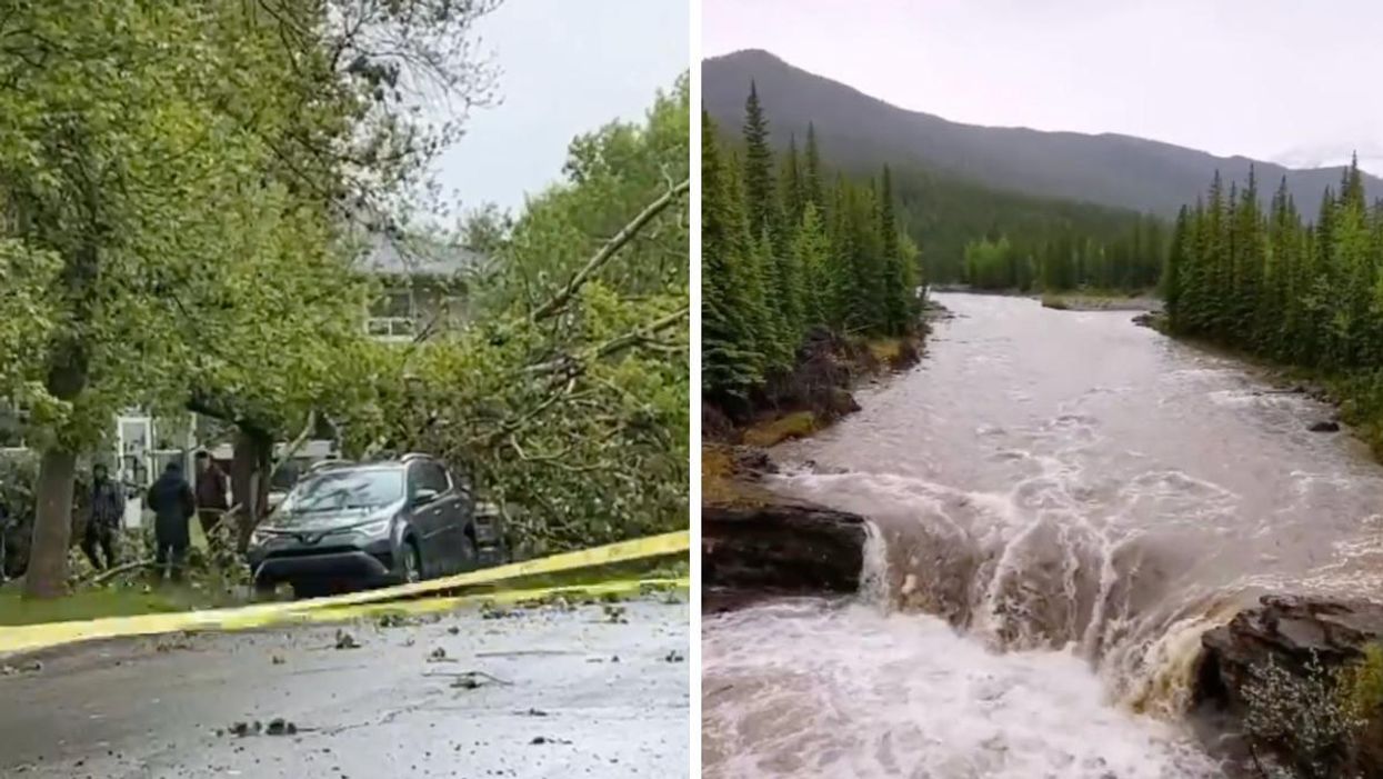 A fallen tree in Calgary. Right: Sheep River Falls in Alberta.