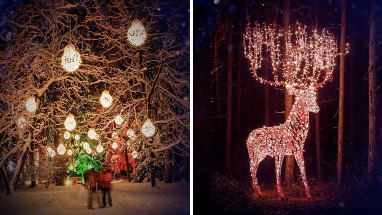 A Festive Light Walk Is Coming To Metro Vancouver & It's Giving Us Serious Hallmark Vibes