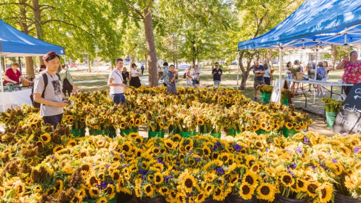 A flower market with sunflowers.