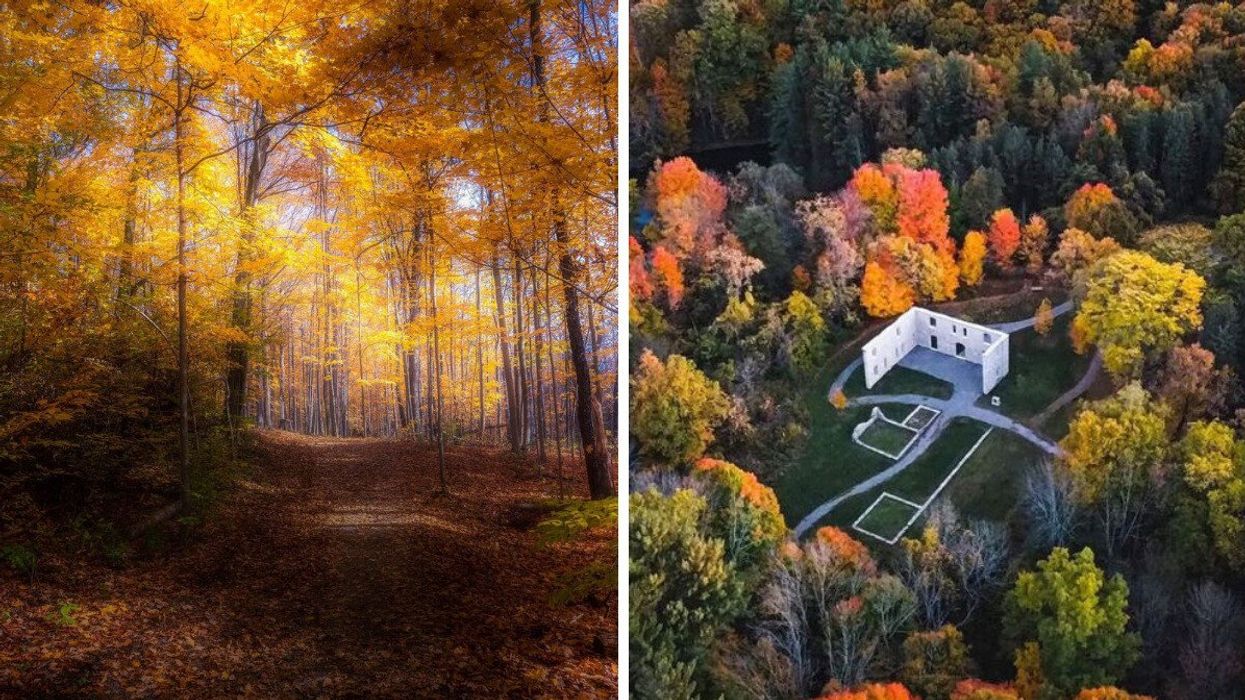 A forest with fall foliage. Right: Ruins surrounded by trees.