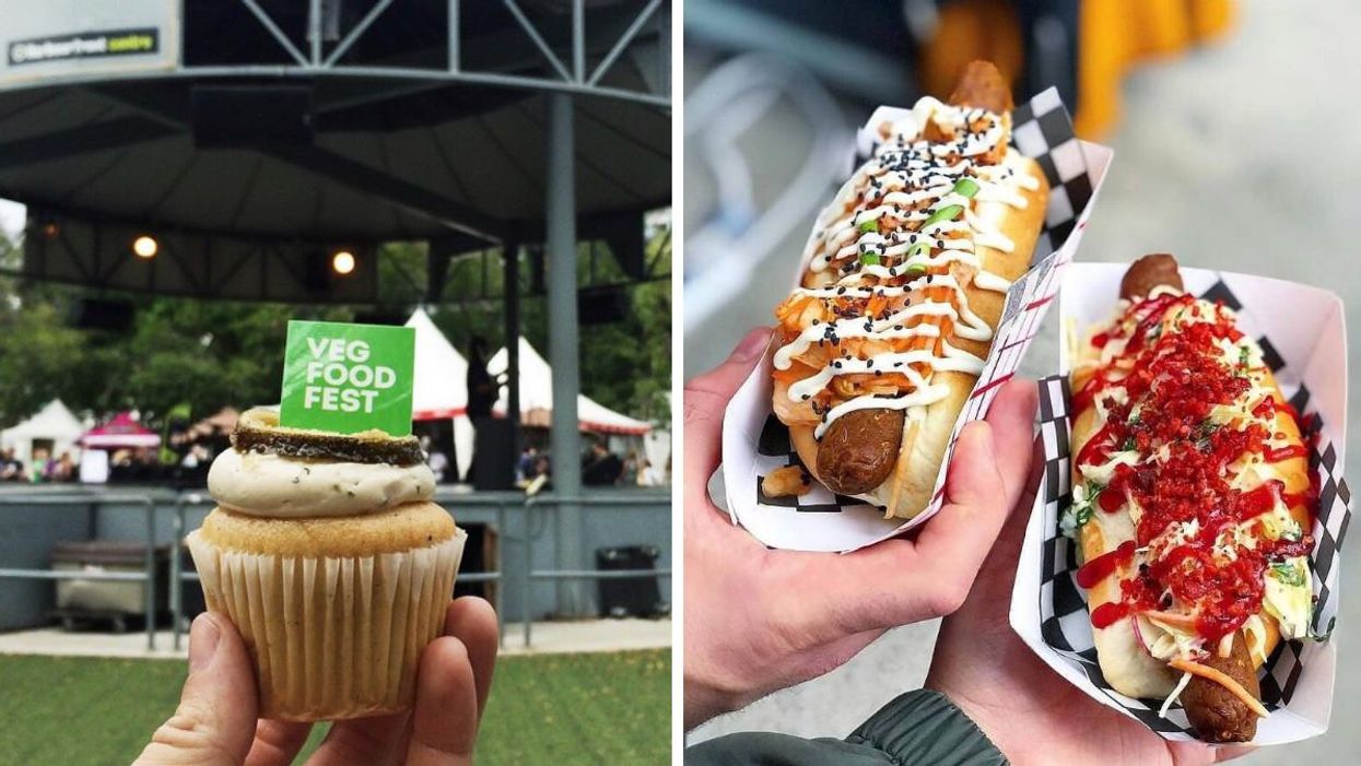 A Free Vegan Food Fest Is Coming To Toronto & There Will Be So Many Mouthwatering Treats