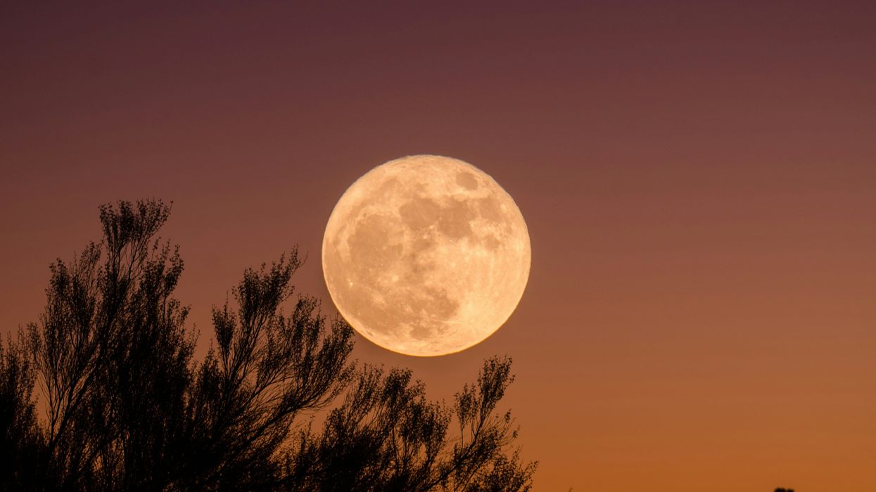 A full moon in an orange-tinted sky (illustrative).