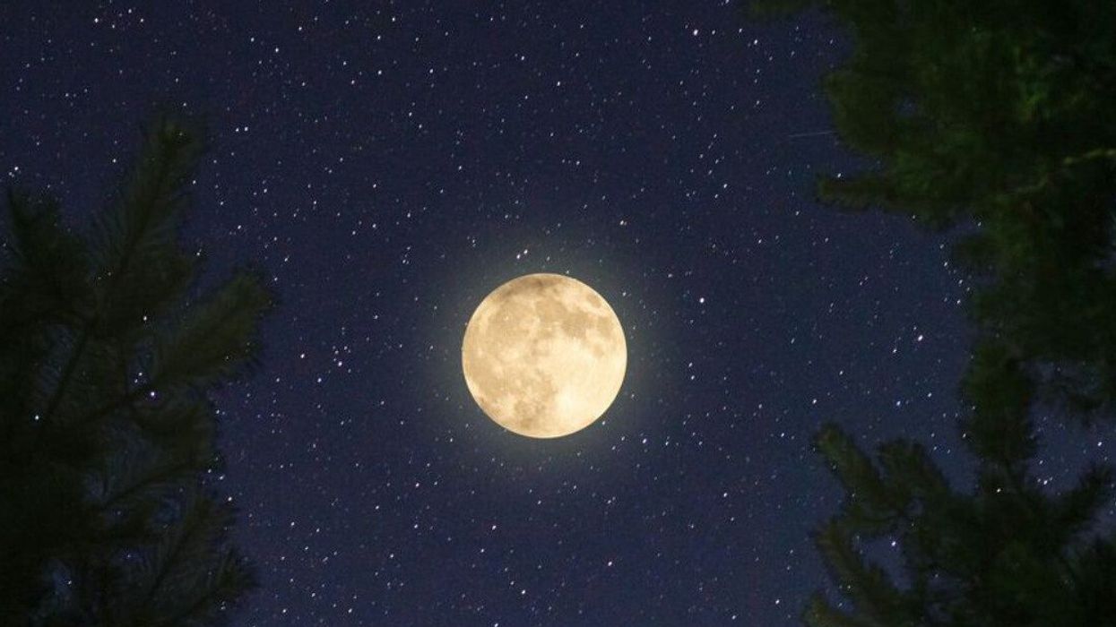 A full moon in the sky.