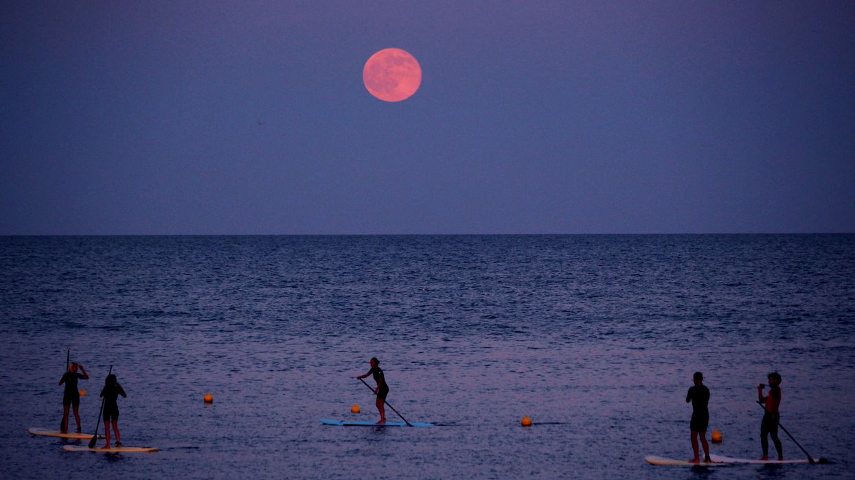 A full moon rises over paddleboaders.