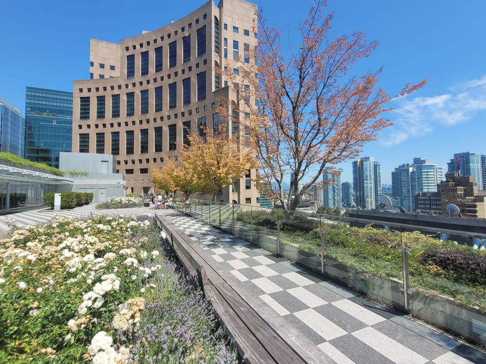 A garden on the rooftop of Vancouver Central Library