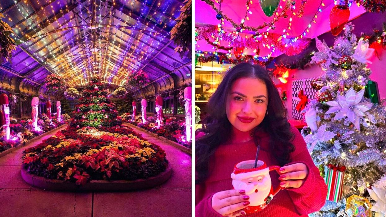 A garden with Christmas decor. Right: A person holding a drink in a Santa mug.