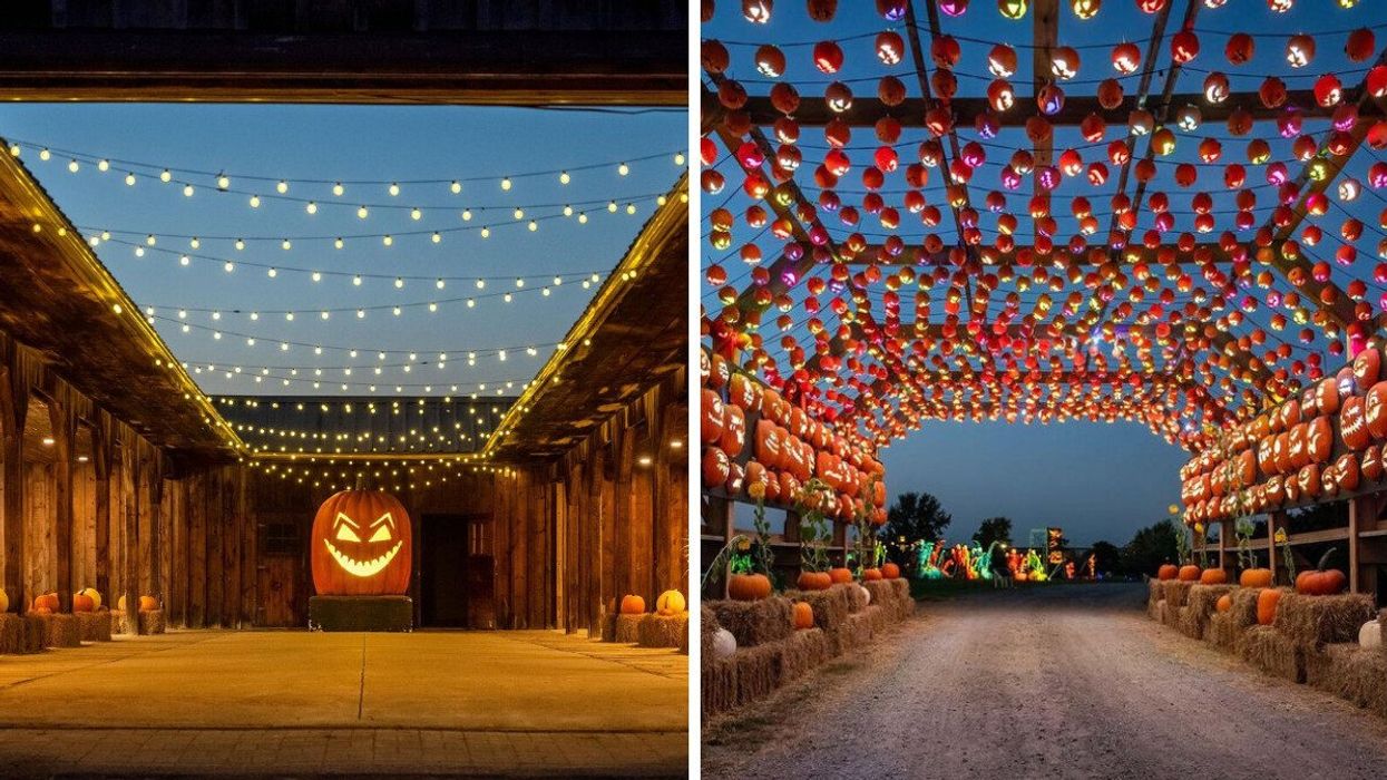 A giant jack-o-lantern. Right: A canopy of pumpkins.