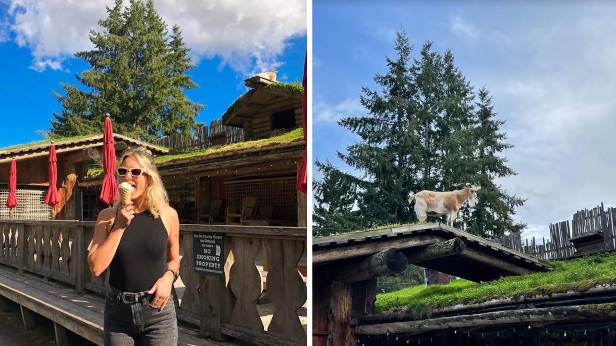 A girl eating ice cream at the market. Right: Goat on a roof.