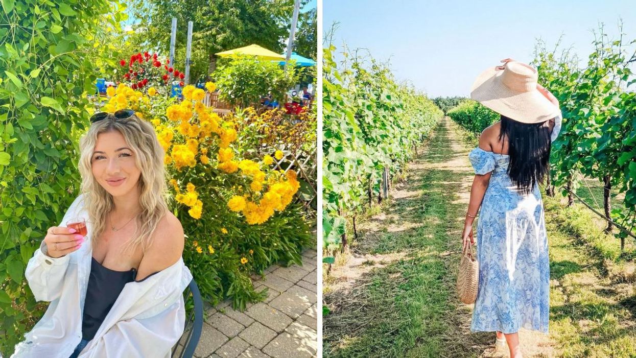 A girl holding a wine glass. Right: A girl walking through a vineyard.