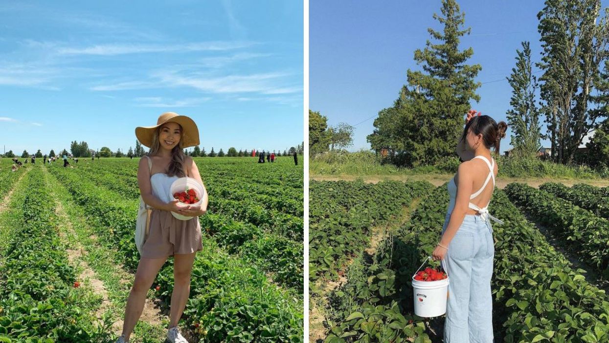 A girl holding strawberries in a field. Right: A girl holding strawberries in a field.