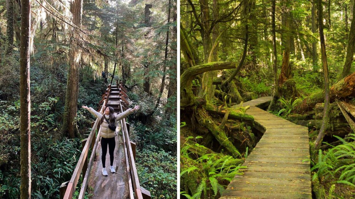 A girl on a bridge in the forest. Right: The board walk in the rainforest trail.