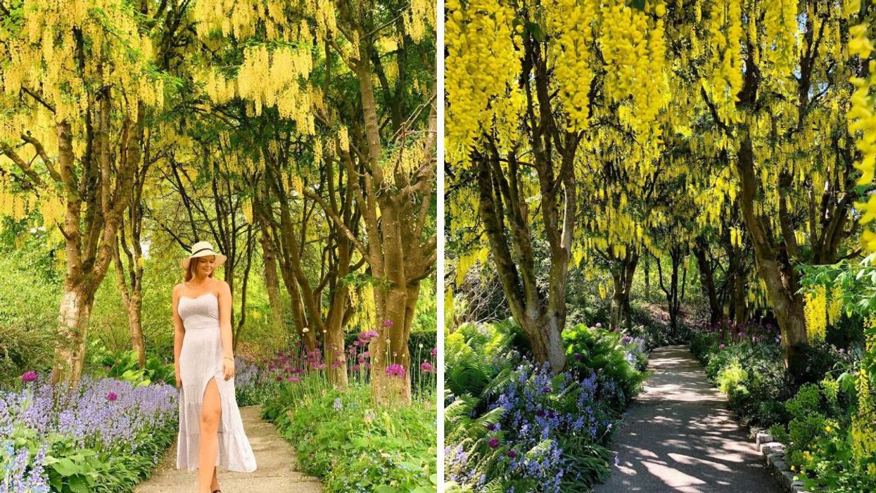 A girl standing in the garden. Right: Views of the garden stroll.