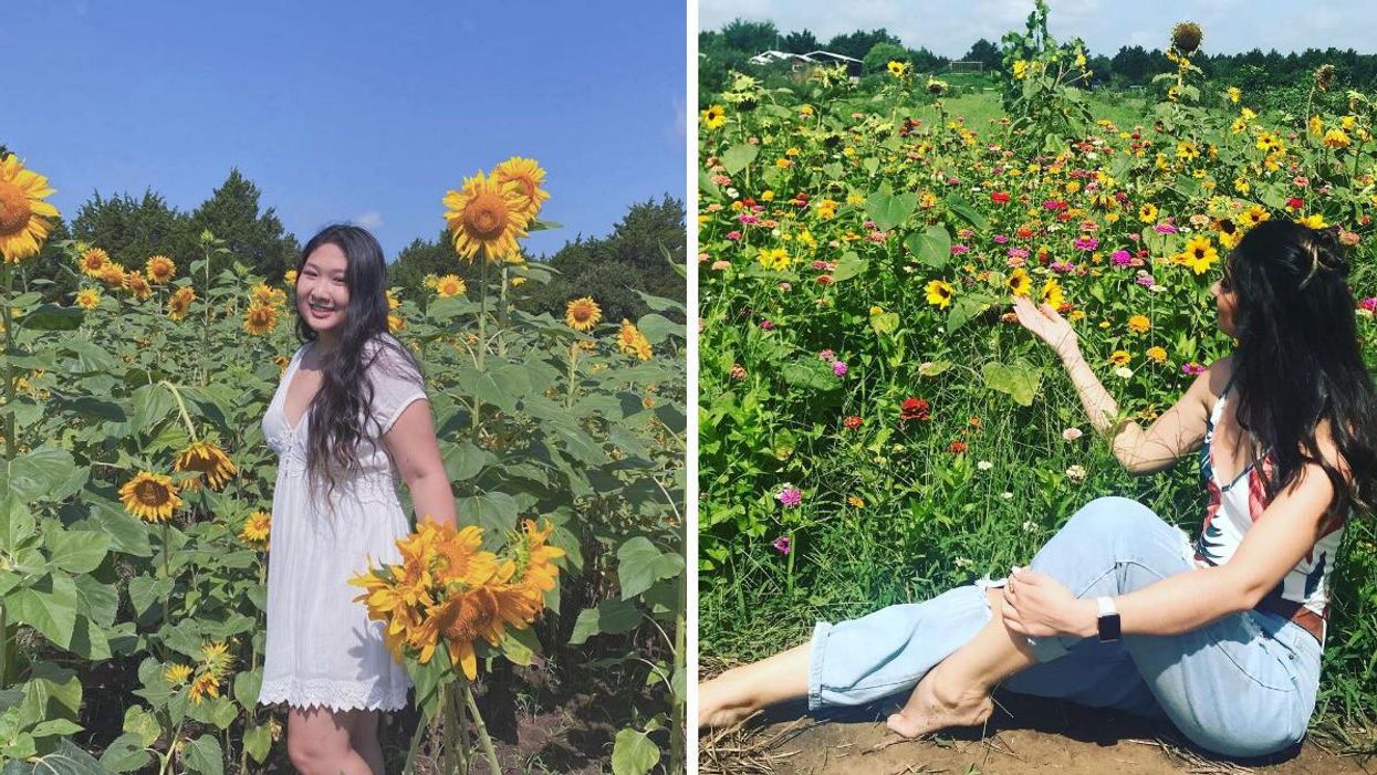 A girl stands in a field of sunflowers. Right: A girl sits in a field of Zinnias.