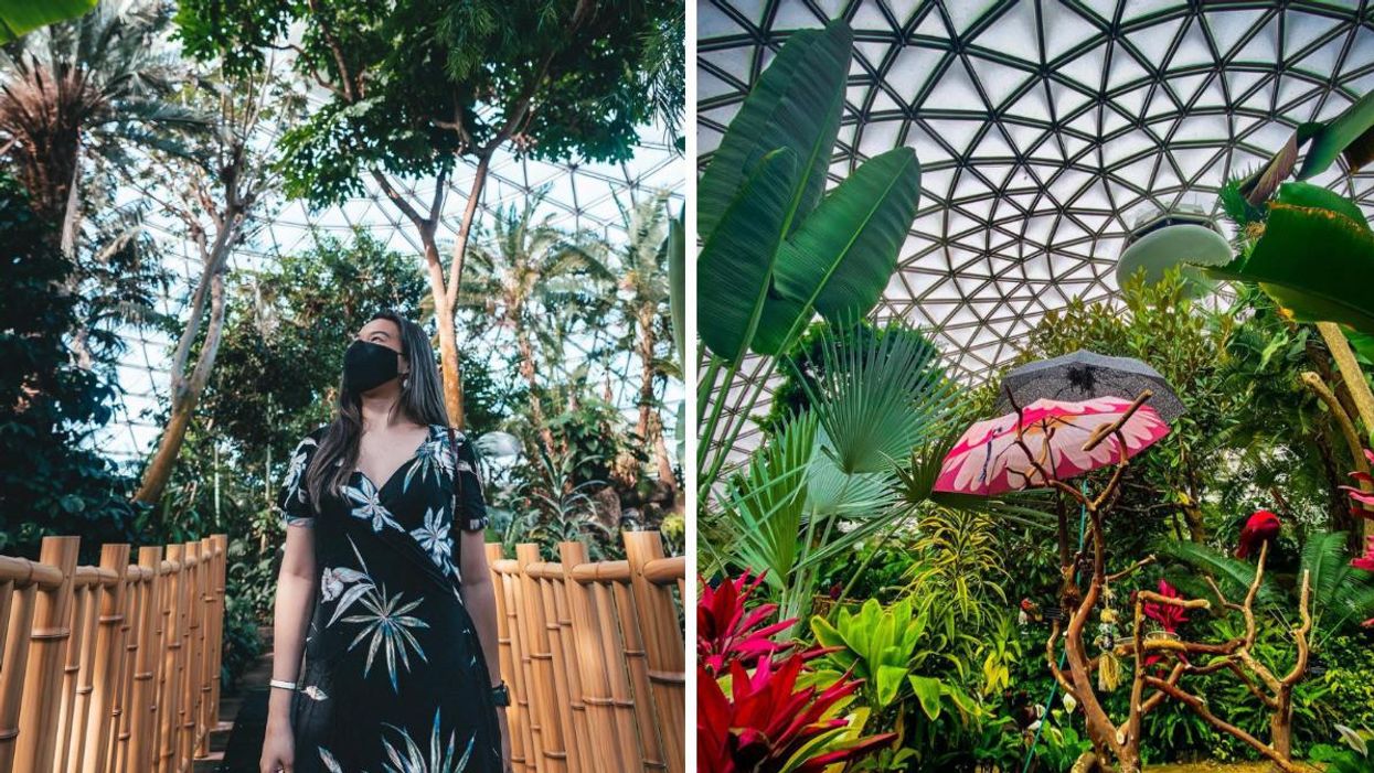 A girl walking through The Bloedel Conservatory. Right: Plants and decor in The Bloedel Conservatory.