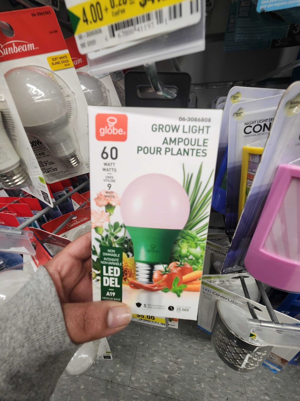 A Globe Led A19 60W Grow Bulb.