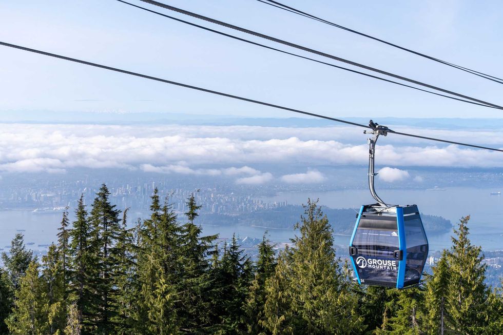 A gondola suspended over pine trees overlooks Vancouver.