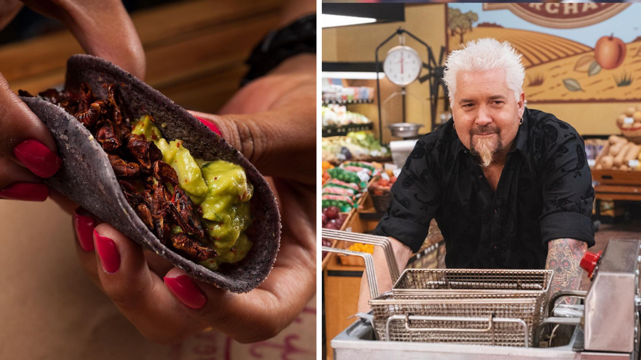 A grasshopper taco. Right: Guy Fieri on set.