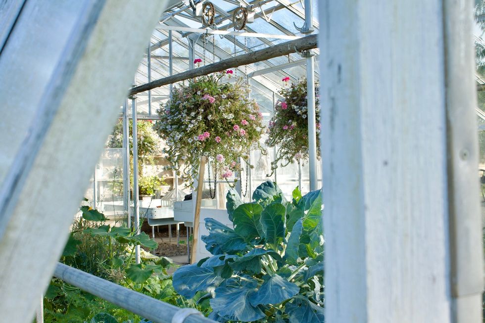 A greenhouse.