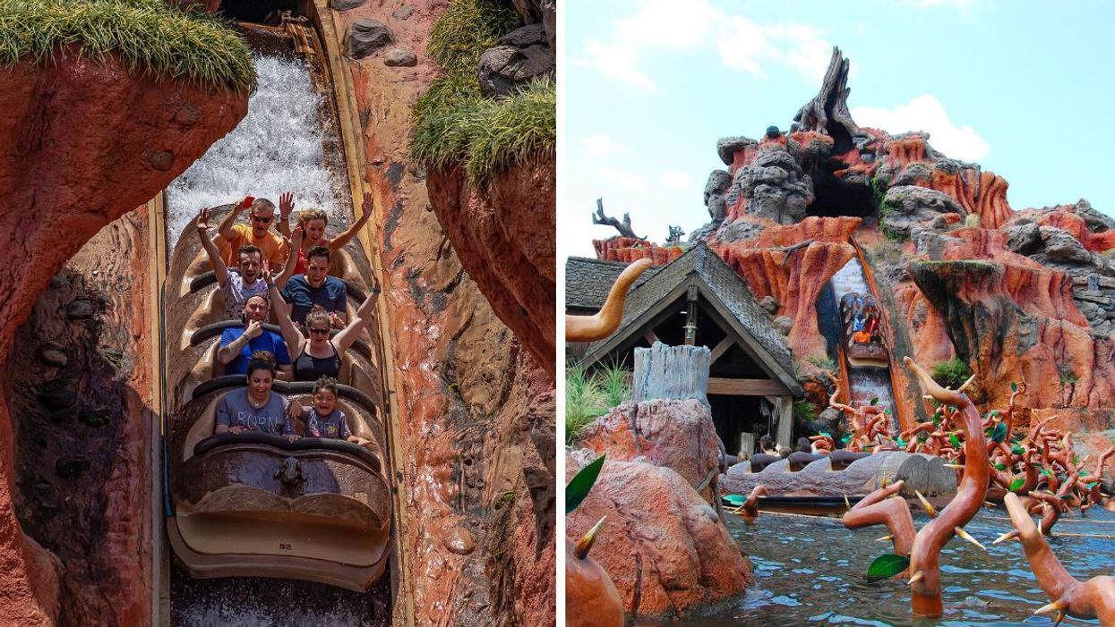 A group of park guests on the drop on Splash Mountain. Right: A view of the Splash Mountain ride. 