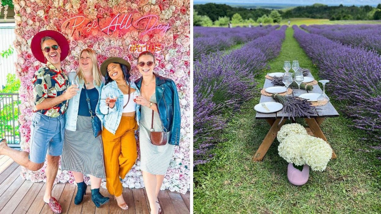 A group of people at a winery. Right: A picnic table in a lavender field.