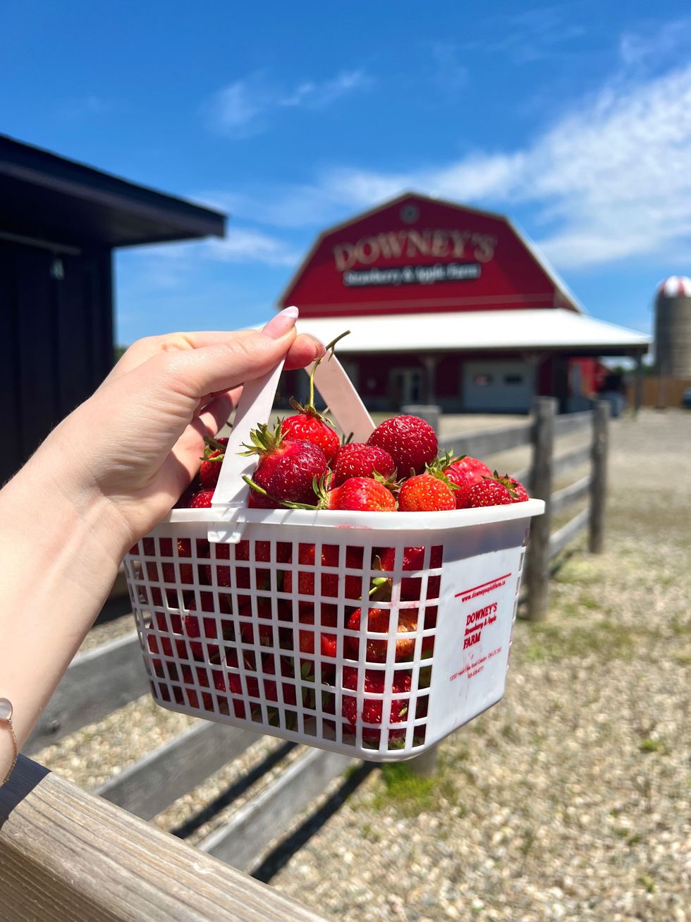 A hand holding a basket of strawberries.