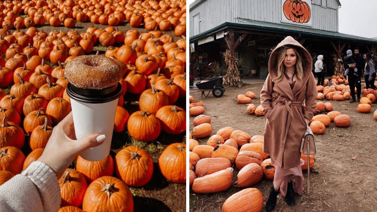 A hand holding a coffee with a donut on top. Right: A person standing outside a barn.