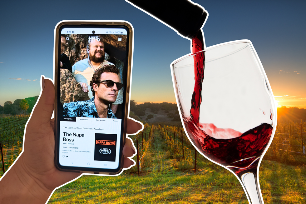 A hand holding a phone showing the TIFF50 page for The Napa Boys, a glass of wine and a vineyard in the background.